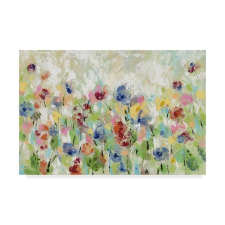 Silvia Vassileva 'Springtime Meadow Flowers' Canvas Art,16x24